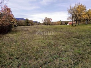Land - Sale - ISTARSKA - KRŠAN - KRŠAN