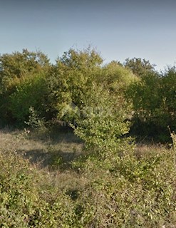 Land - Sale - ISTARSKA - BARBAN - BARBAN
