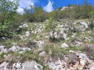 Zemljište - Prodaja - ISTARSKA - BUZET - BUZET