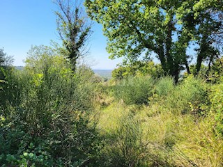 Land - Sale - ISTARSKA - GROŽNJAN - GROŽNJAN