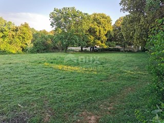 Land - Sale - ISTARSKA - LIŽNJAN - LIŽNJAN