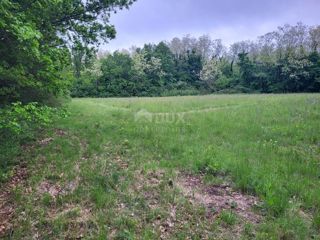 Land - Sale - ISTARSKA - LABIN - LABIN