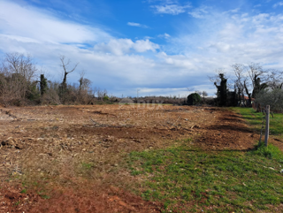 Zemljište - Prodaja - ISTARSKA - UMAG - UMAG