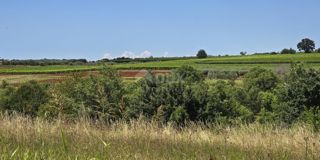 Grundstück - Verkauf - ISTARSKA - VIŽINADA - VIŽINADA
