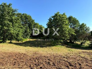 Land - Sale - ISTARSKA - BARBAN - BARBAN