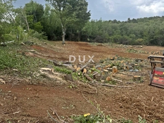 Land - Sale - ISTARSKA - BARBAN - BARBAN