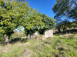 Kuća - Prodaja - ISTARSKA - LUPOGLAV - BOLJUNSKO POLJE