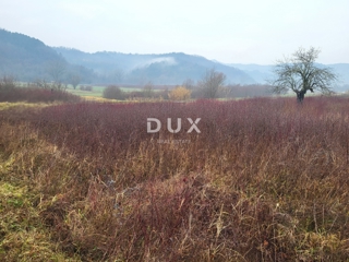 Land - Sale - ISTARSKA - PIĆAN - PIĆAN