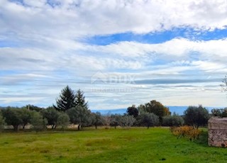 Land - Sale - ISTARSKA - MARČANA - KRNICA