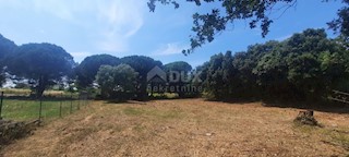Land - Sale - ISTARSKA - ROVINJ - ROVINJ
