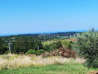 Land - Sale - ISTARSKA - VIŽINADA - VIŽINADA