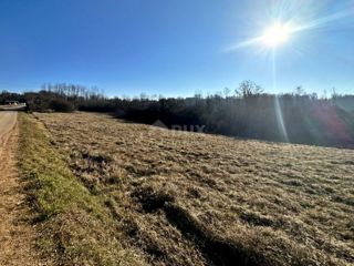 Land - Sale - ISTARSKA - MOTOVUN - MOTOVUN