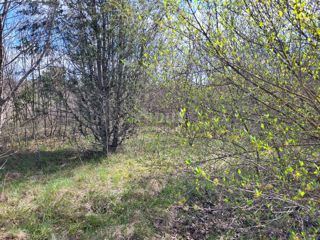 Land - Sale - ISTARSKA - SVETVINČENAT - SVETVINČENAT