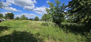 Land - Sale - ISTARSKA - TINJAN - TINJAN