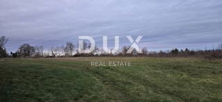Land - Sale - ISTARSKA - ŽMINJ - ŽMINJ