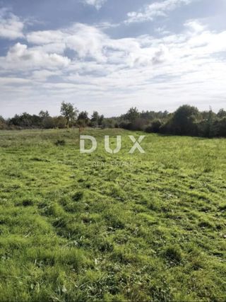 Land - Sale - ISTARSKA - ŽMINJ - ŽMINJ