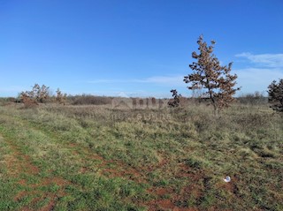 Land - Sale - ISTARSKA - UMAG - UMAG