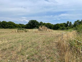 Land - Sale - ISTARSKA - BARBAN - MANJADVORCI