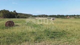 Land - Sale - ISTARSKA - BRTONIGLA - BRTONIGLA