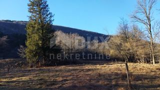 Land - Sale - PRIMORSKO-GORANSKA - KLANA - KLANA