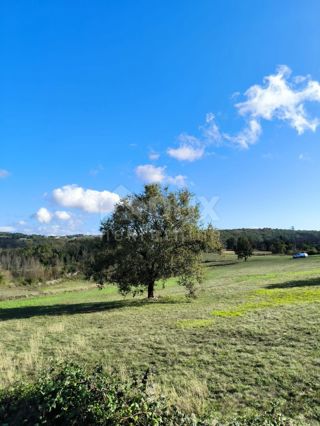 Zemljište - Prodaja - ISTARSKA - TINJAN - TINJAN