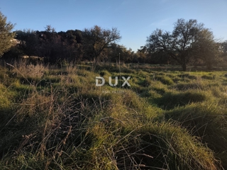 Grundstück - Verkauf - ISTARSKA - PULA - PULA