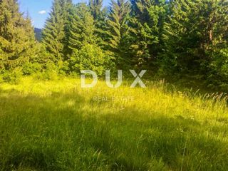 Land - Sale - PRIMORSKO-GORANSKA - DELNICE - LUČICE