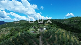 Zemljište - Prodaja - ISTARSKA - MOTOVUN - MOTOVUN