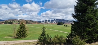 Zemljište - Prodaja - PRIMORSKO-GORANSKA - RAVNA GORA - RAVNA GORA