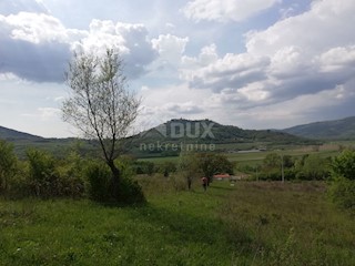 Land - Sale - ISTARSKA - MOTOVUN - MOTOVUN