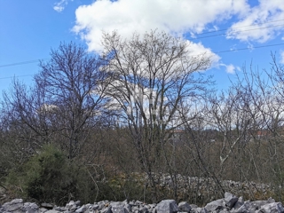 Land - Sale - PRIMORSKO-GORANSKA - KRK - DOBRINJ