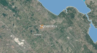 Land - Sale - ZADARSKA - BENKOVAC - DONJI KAŠIĆ