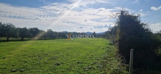 Land - Sale - ZADARSKA - GALOVAC - GALOVAC