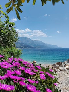Grundstück - Verkauf - SPLITSKO-DALMATINSKA - OMIŠ - PISAK