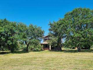 Land - Sale - ISTARSKA - POREČ - POREČ