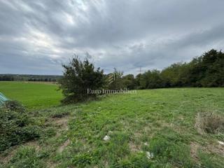 Land - Sale - ISTARSKA - KRŠAN - KRŠAN