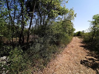 Land - Sale - ISTARSKA - BARBAN - ŠAJINI