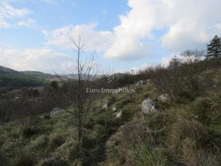 Land - Sale - ISTARSKA - KRŠAN - ŠUŠNJEVICA