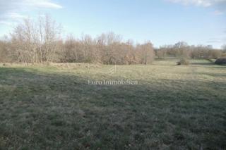 Zemljište - Prodaja - ISTARSKA - SVETVINČENAT - ŠTOKOVCI