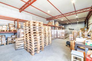 Geschäftsraum - Miete - GRAD ZAGREB - ZAGREB - LUČKO