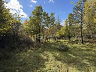 Land - Sale - PRIMORSKO-GORANSKA - KLANA - ŠKALNICA