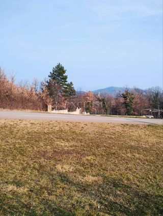 Land - Sale - ISTARSKA - KAROJBA - RAKOTULE