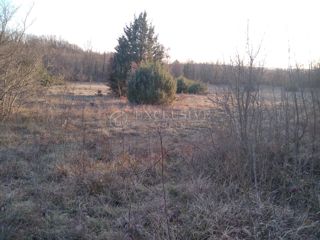 Grundstück - Verkauf - ISTARSKA - LIŽNJAN - VALTURA