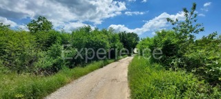 Zemljište - Prodaja - ISTARSKA - POREČ - BADERNA