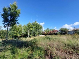 Land - Sale - ISTARSKA - VIŠNJAN - VIŠNJAN