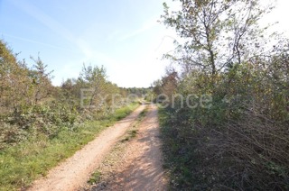 Zemljište - Prodaja - ISTARSKA - VIŠNJAN - BAČVA