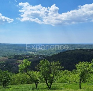 Land - Sale - ISTARSKA - GROŽNJAN - GROŽNJAN