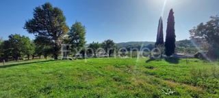 Grundstück - Verkauf - ISTARSKA - MOTOVUN - MOTOVUN