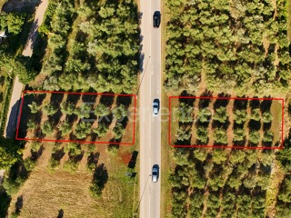 Zemljište - Prodaja - ISTARSKA - TAR-VABRIGA - VABRIGA