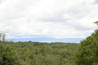 Zemljište - Prodaja - ISTARSKA - VIŠNJAN - VIŠNJAN